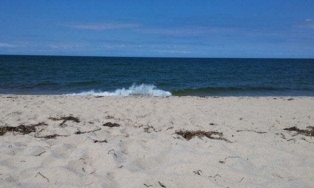 Transitions in the Life of an Educator